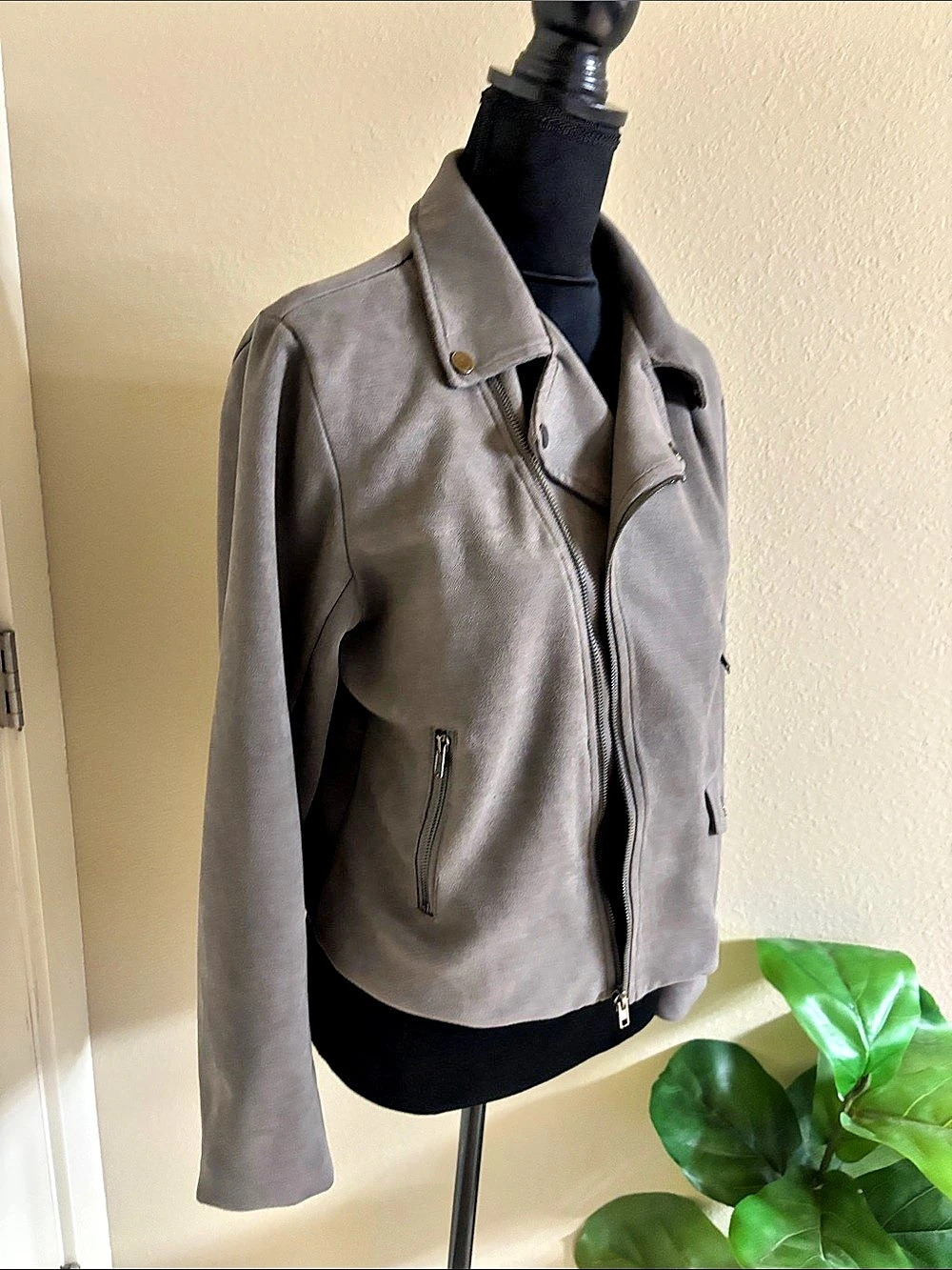 Gray Moto Jacket - Picture 4 of 12